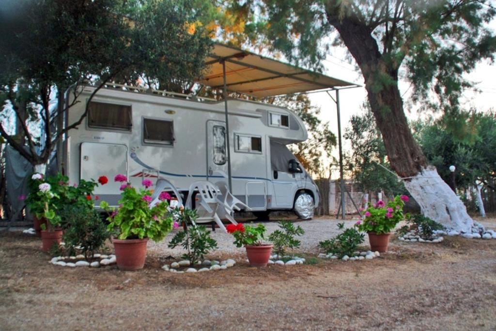 Creta Camping 구베스 외부 사진